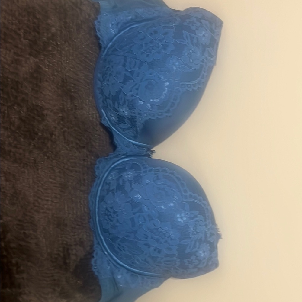 Lane Bryant Floral Lace Bra in Deep Blue